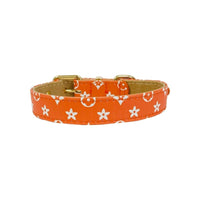 BARK by DOG Collars Soho Orange Dog Collar