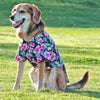 Doggie Design, Inc. Collared Shirts XXS Hawaiian Paradise Nights Camp Dog Shirt