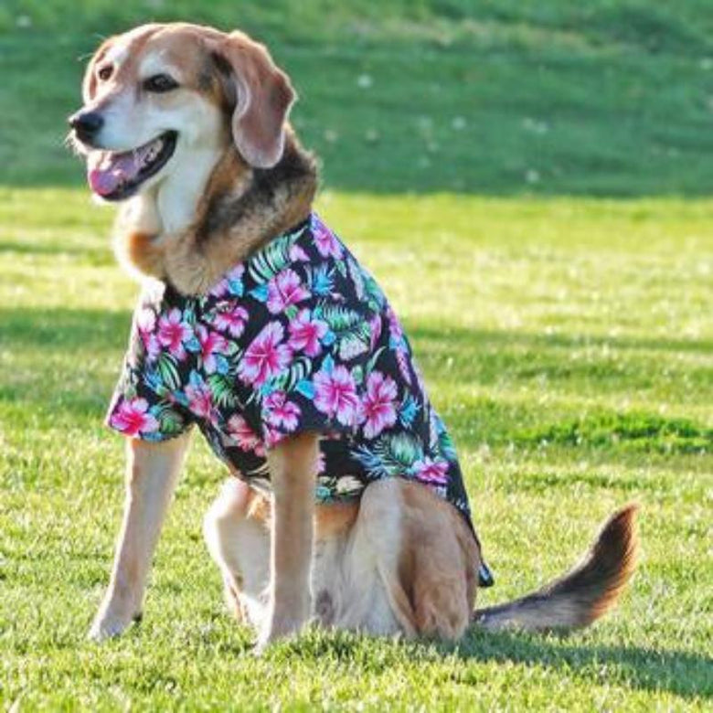 Doggie Design, Inc. Collared Shirts XXS Hawaiian Paradise Nights Camp Dog Shirt