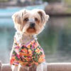 Doggie Design, Inc. Collared Shirts Hawaiian Sunset Hibiscus Camp Dog Shirt