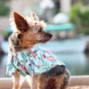 Doggie Design, Inc. Collared Shirts Hawaiian Surfboard & Palms Camp Dog Shirt