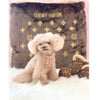 Dog Diggin Designs BEDS Brown Chewy Handbag Pet Bed