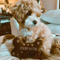 Dog Diggin Designs Toys, Chewy Brown Chewy Plush Bone Plush Squeak Dog Toy - 2 Sizes
