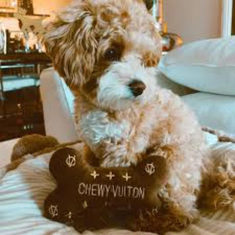 Dog Diggin Designs Toys, Chewy Brown Chewy Plush Bone Plush Squeak Dog Toy - 2 Sizes