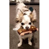 Dog Diggin Designs Toys, Chewy Chewy Shoe Plush Squeak Dog Toy