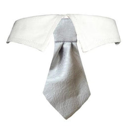 Pooch Outfitters Collars XXS/XS Adam Shirt Tie Pet Collar