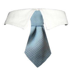 Pooch Outfitters Collars L/XL Mason Shirt Tie Pet Collar