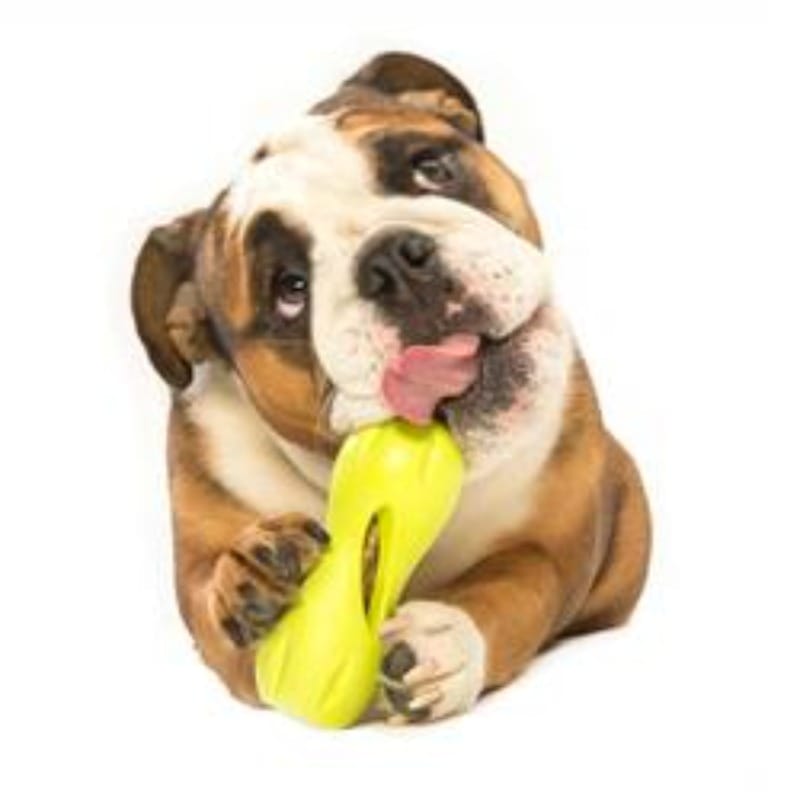 West Paw dog toys Qwizl Puzzle & Treat Interactive Dog Toy